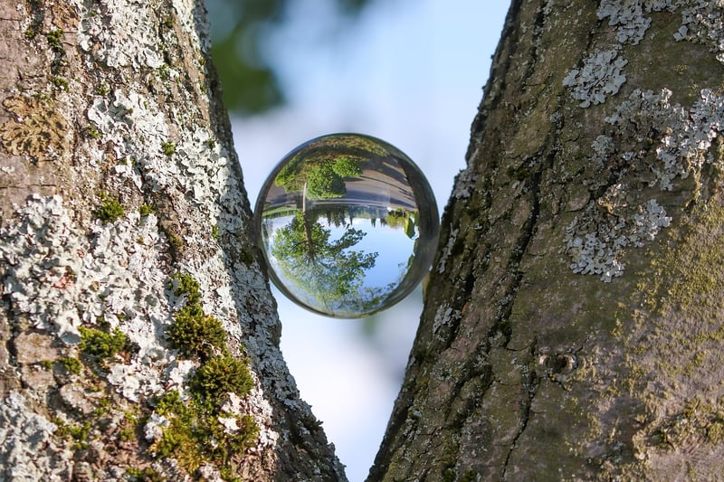 Concealed Insights